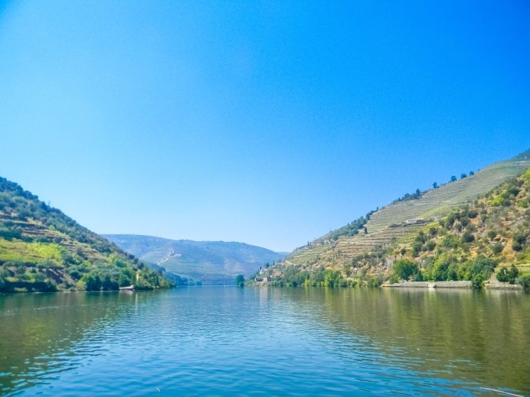 Boat Trip To Régua Through The Douro Valley With Breakfast And Lunch - Let yourself be amazed with the charms of the Douro...